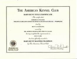 AKC Barn Hunt Title Certificate - RATCHX.jpg
