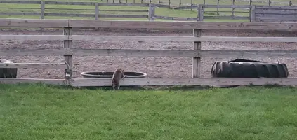 20220925_185743.webp 20220925_185743.webp