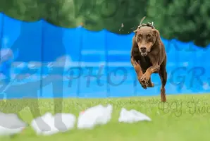 1664482337072.png
