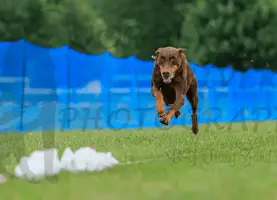 1664482363436.png