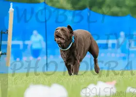 1664482504383.png