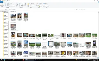 Photo files Oct 2022.webp