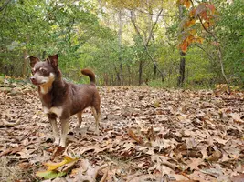 20221011_081434.webp