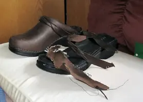 Chewed up shoe June 24 12.webp