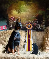 AJ RATCJX Ribbon by Kate 2022 12 04.webp