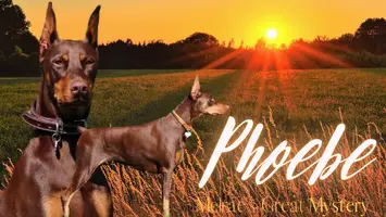 Melrae Phoebe presentation.webp