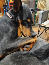 20221225_175728.webp