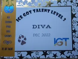 IGT 3 Cert.webp