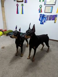 PXL_20230206_020610031.webp