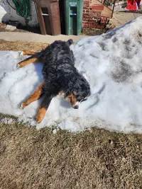 20230213_122217.webp