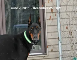Head shot memorial Dec 21 21.webp