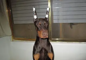 Sitting in bathroom Mar 18 23.webp