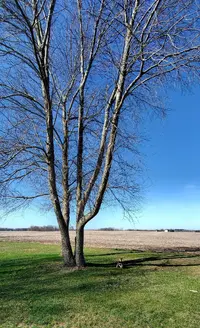 20230402_093143.webp 20230402_093143.webp
