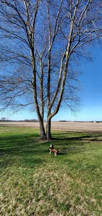 20230402_093151.webp 20230402_093151.webp