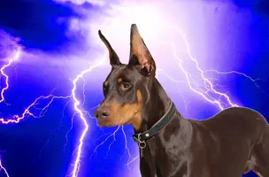 In lightning bg Apr 13 23.webp