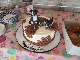 Leila Birthday Cake 2023.jpg