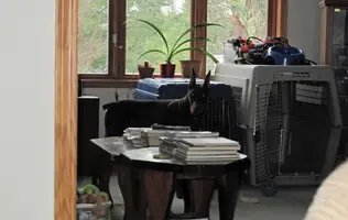 Standing by crate Apr 20 23.webp