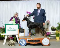 23-4-16 OHG2_Crown Point.webp