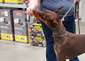 Head shot at Lowes May 2 23.webp