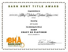 AJ - Barn Hunt Cray8s Platinum.JPG