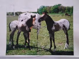 20230428_073532.webp