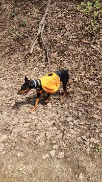 20230507_121011_exported_95265.webp