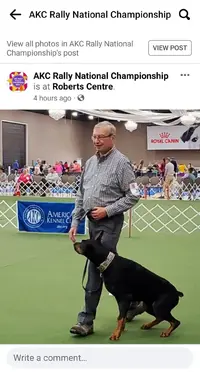 AKC 2023 Rally National Championships Facebook Screenshot.webp
