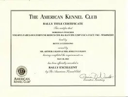 AKC Rally Excellent Certificate.webp AKC Rally Excellent Certificate.webp