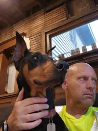 20230623_194150.webp