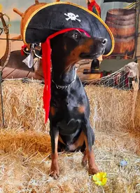 20230716_092236.webp