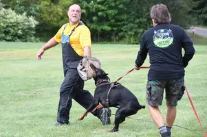 Arson Federico Pongelli Seminar.jpg