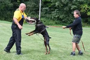 Arson Federico Pongelli Seminar 2.jpg