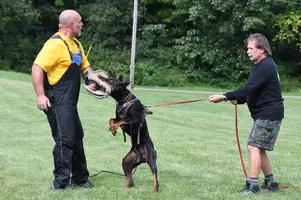 Arson Federico Pongelli Seminar 3.jpg