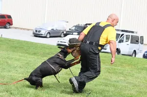 Arson Federico Pongelli Seminar 6.jpg