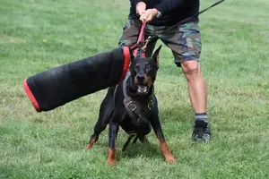 Arson Federico Pongelli Seminar 8.jpg