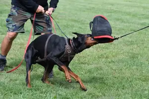 Arson Federico Pongelli Seminar 11.jpg