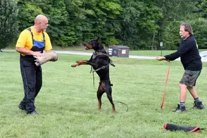 Arson Federico Pongelli Seminar 10.jpg
