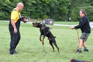 Arson Federico Pongelli Seminar 13.jpg