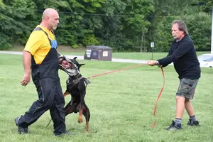 Arson Federico Pongelli Seminar 14.jpg