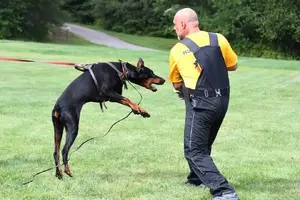Arson Federico Pongelli Seminar 15.jpg