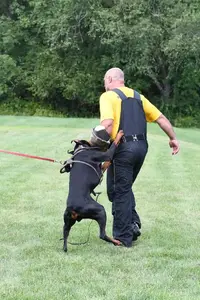 Arson Federico Pongelli Seminar 17.webp