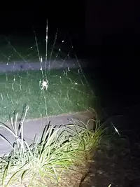 20230915_194012.webp
