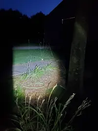 20230915_193951.webp