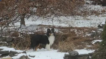 IMG_1026 Cropped.webp