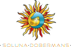 Soluna Logo 2.png
