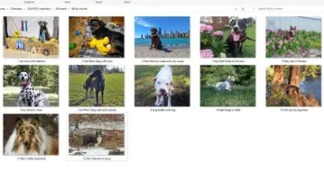 AB photos by month.webp