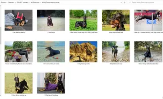 Strictly Dobermans photos by month.webp