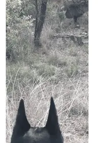 Screen Shot 2023-11-12 at 6.37.20 AM.webp