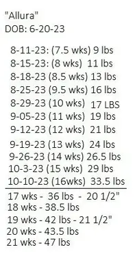 Weight.webp