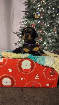 PXL_20231210_025943863.jpg